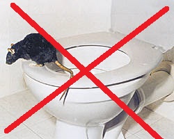 Rattenstopp ASYMMETRISCH DN100 - DN150