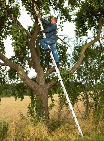 Sprossenteil für Tiroler Steigtanne