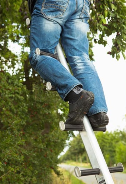 Sprossenteil für Tiroler Steigtanne