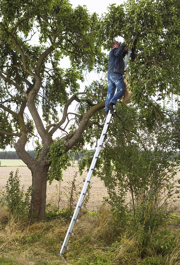 Komplettset "Tiroler Steigtanne"